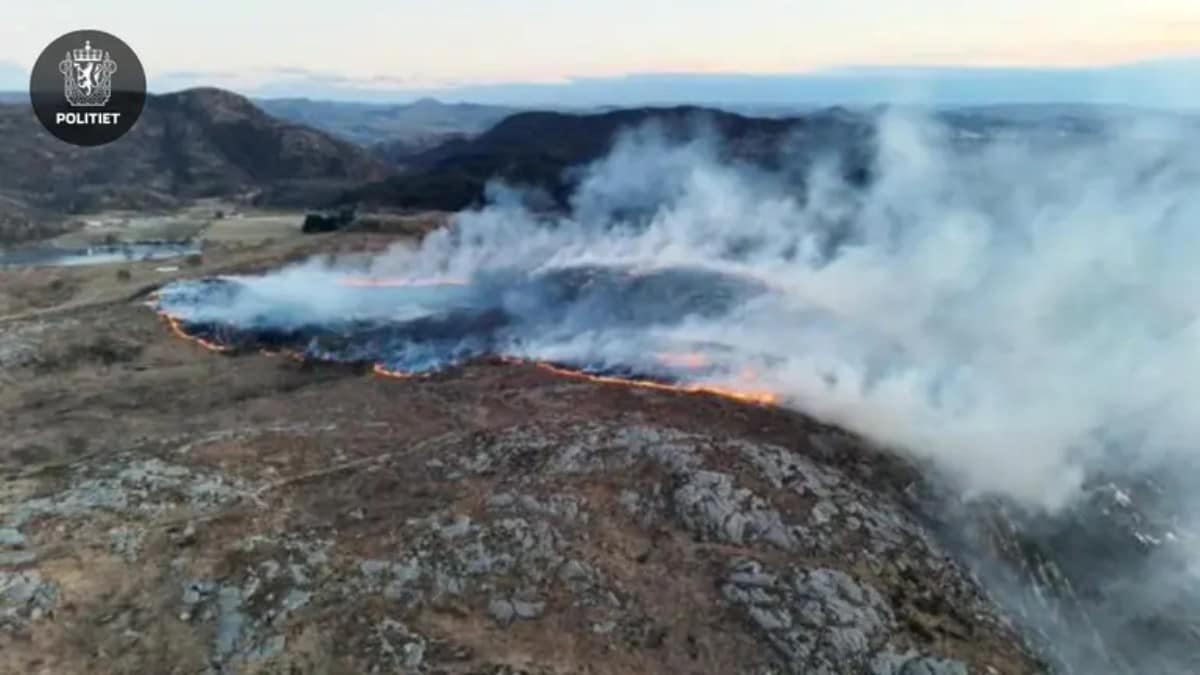 Brann i terreng ved Dalsnuten