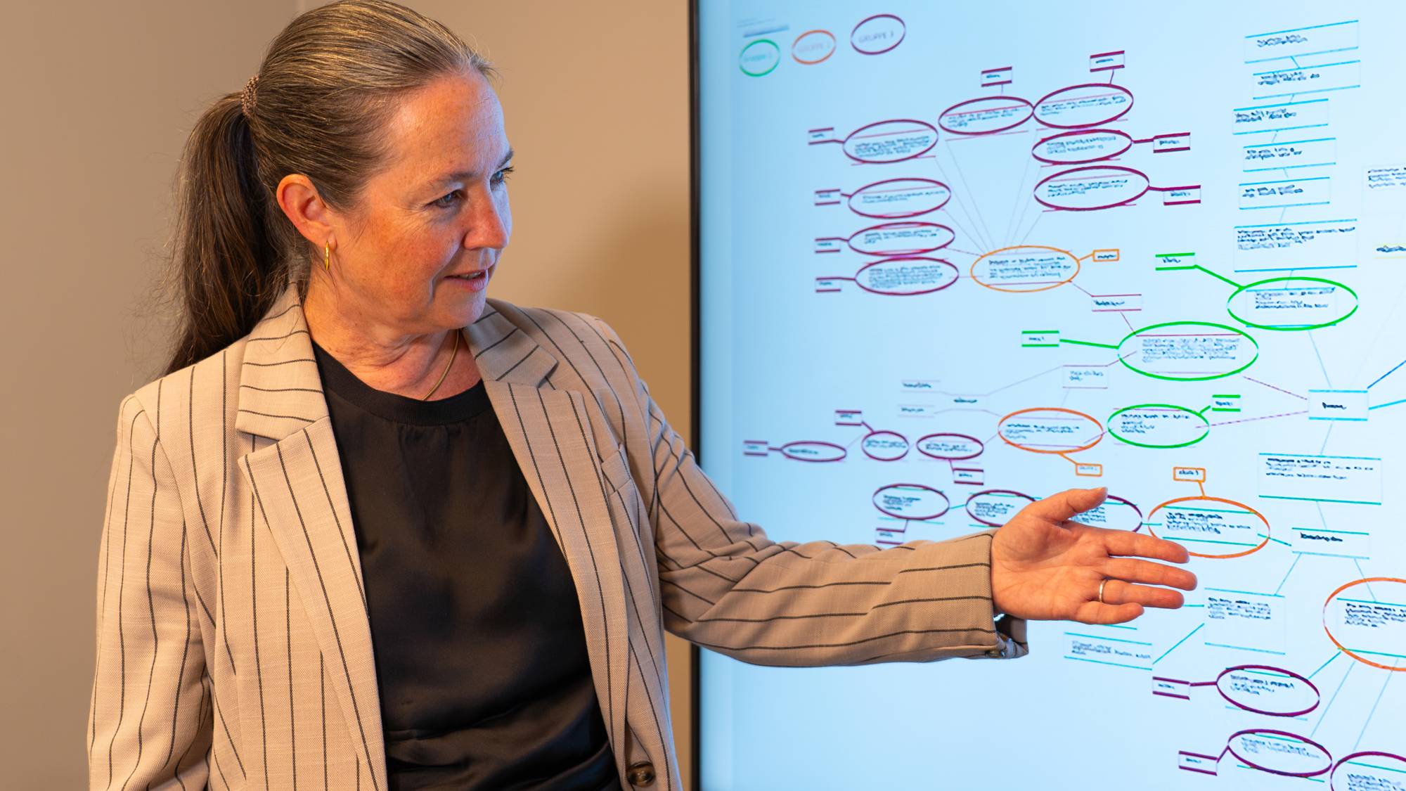 Torgersen i UDI viser et nettverk 