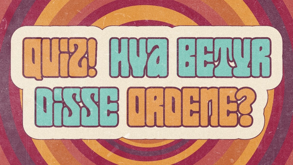 Quiz: Vet du hva disse uttrykkene betyr?