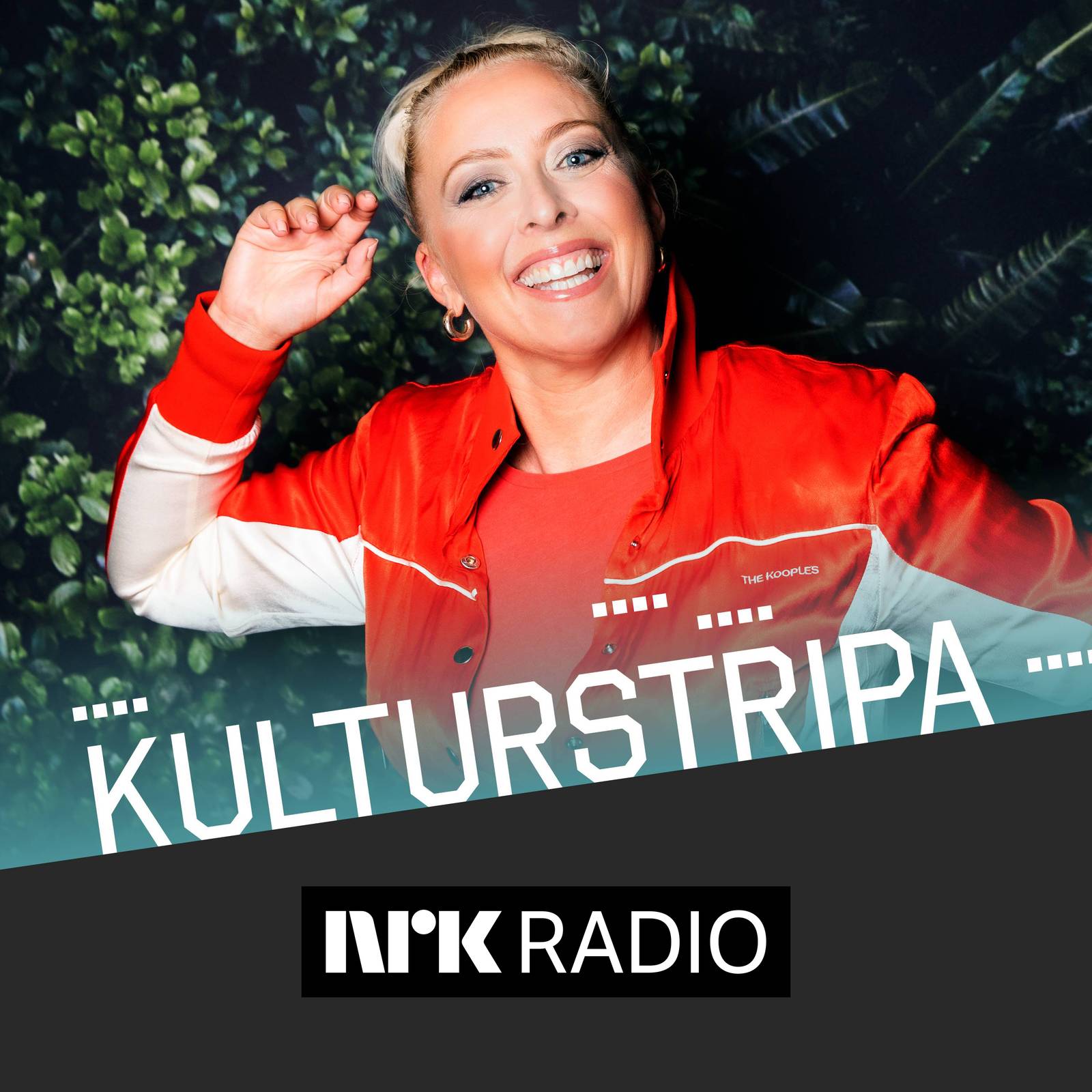 Kulturstripa