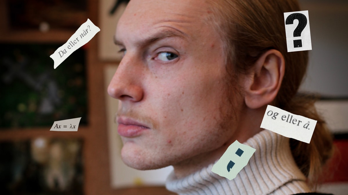 Flisespikkere til besvær