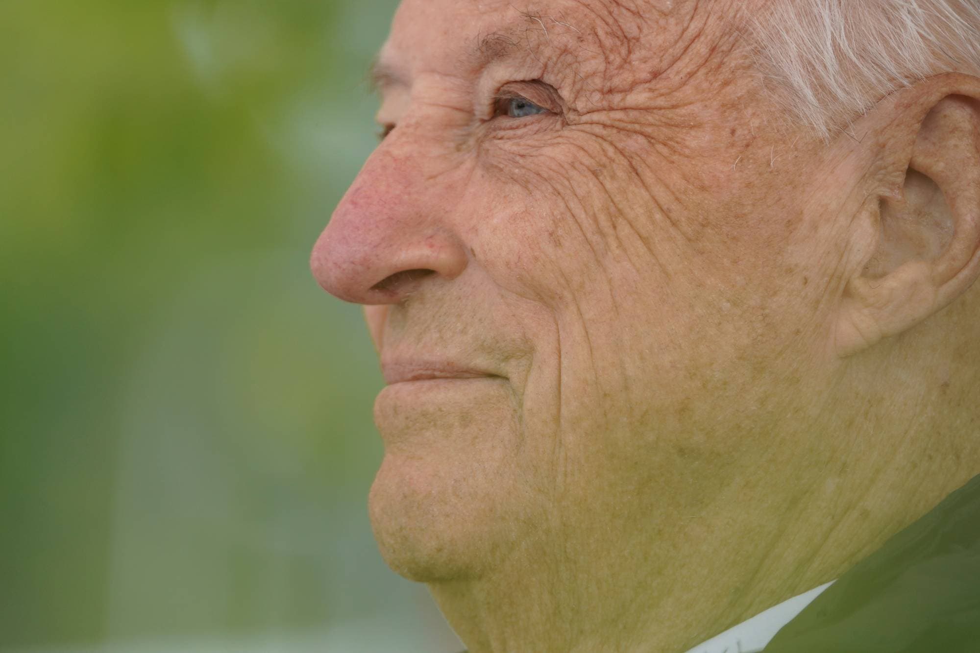 Kong Harald i profil