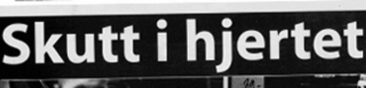 Politiskuddene: Larvik