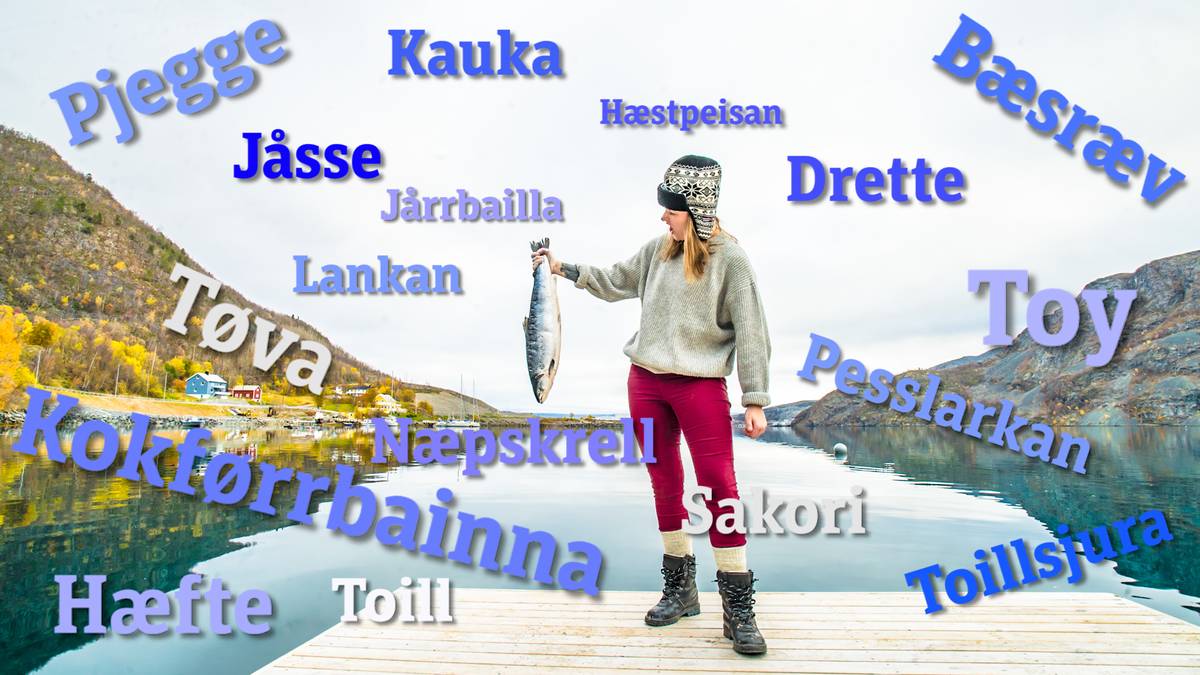 Vi kårer Finnmarks beste dialektord – NRK Troms og Finnmark