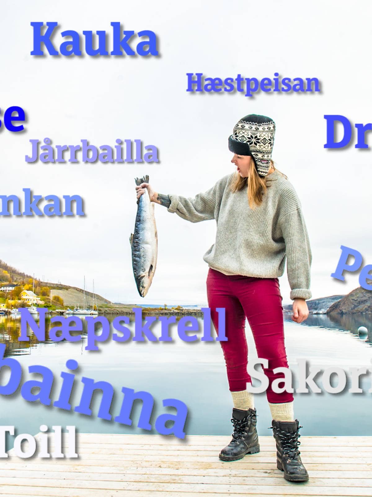 Vi kårer Finnmarks beste dialektord – Troms og