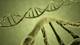 Foto: Carlos Romero Oreja DNA strand yellow