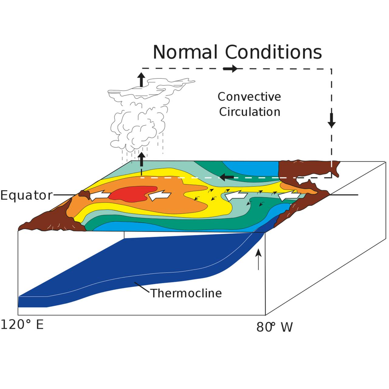 Normalsituasjon versus La Niña (kvadratisk).