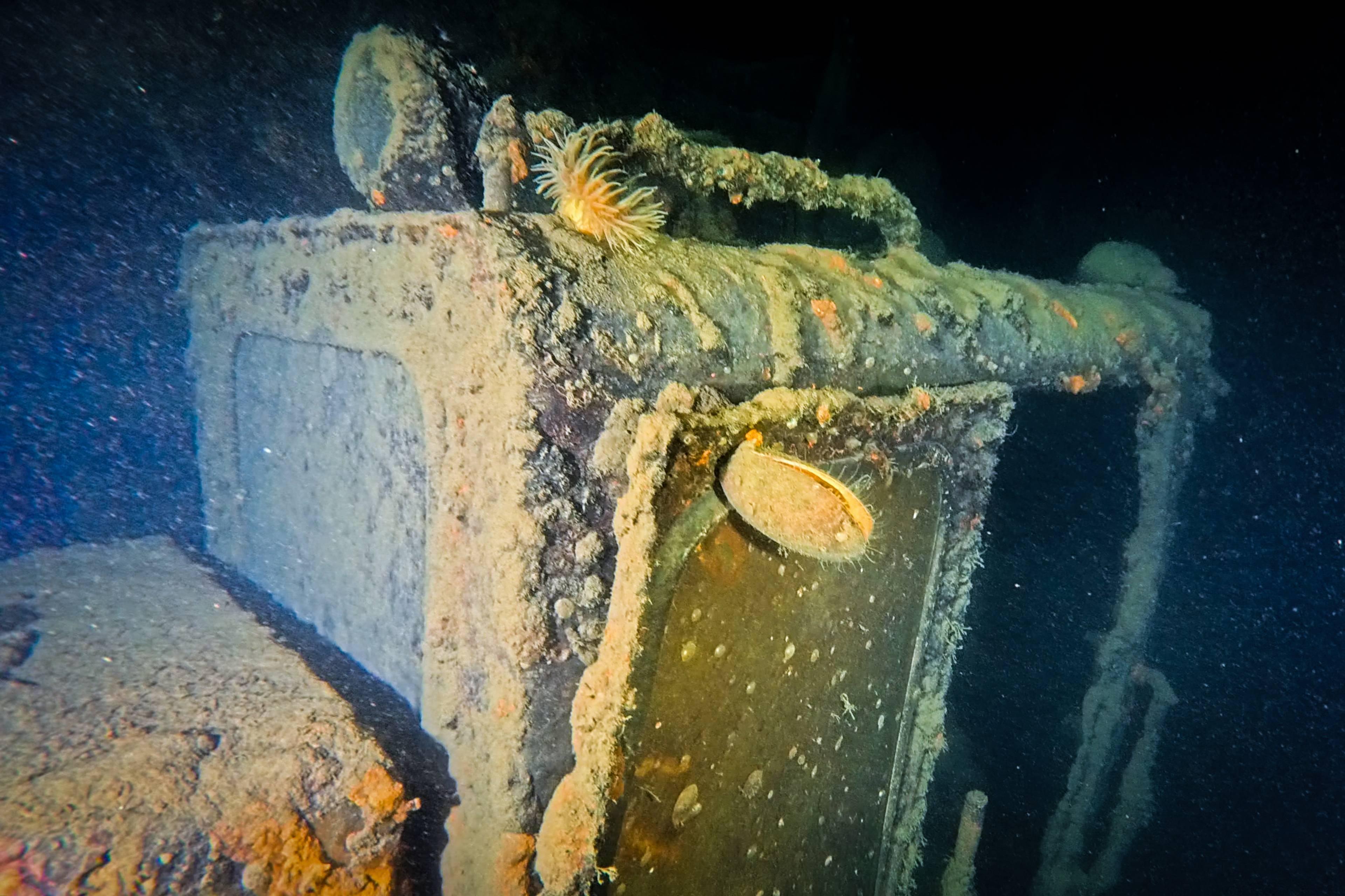 Et forlist fartøy ses under vann, dekket av alger og sedimenter. En sjøanemone vokser på en av gjenstandene. Bunnen er mørk og vannet er grumsete. (Bildebeskrivelsen er laget av en KI-tjeneste)