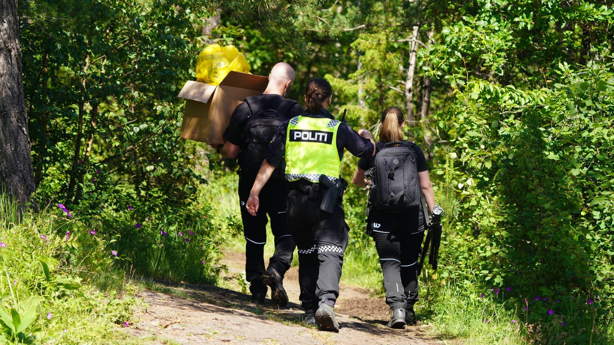 Politifolk er på vei inn i en skog.