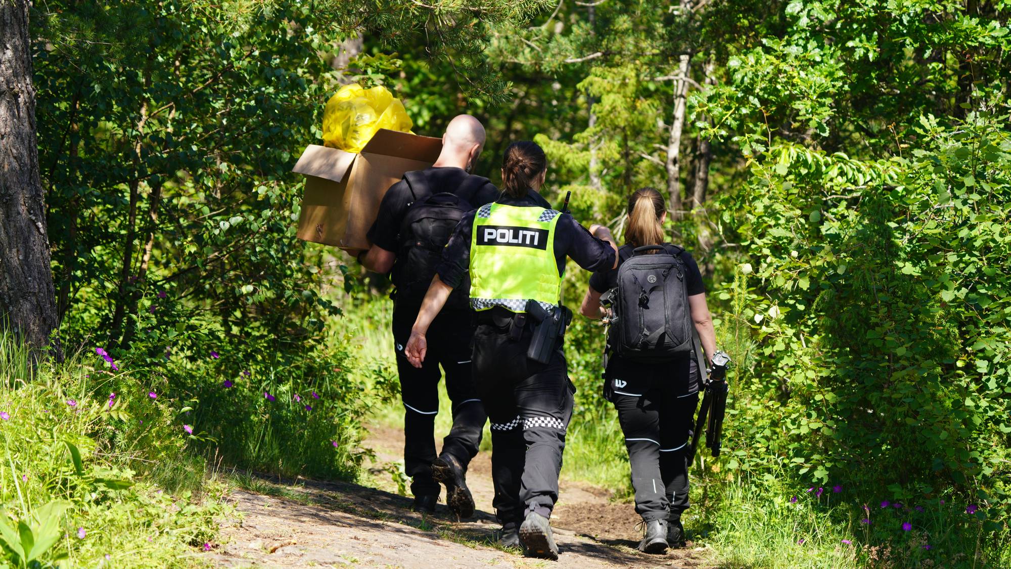 Politifolk er på vei inn i en skog.