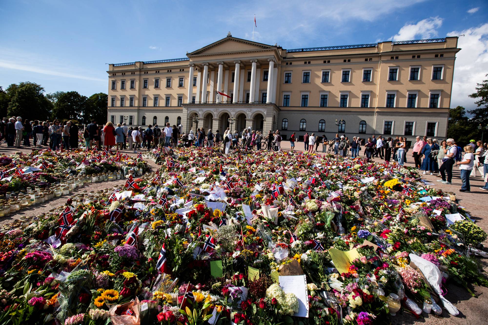 Bilder av blomsterhavet utenfor Slottsplassen i Oslo