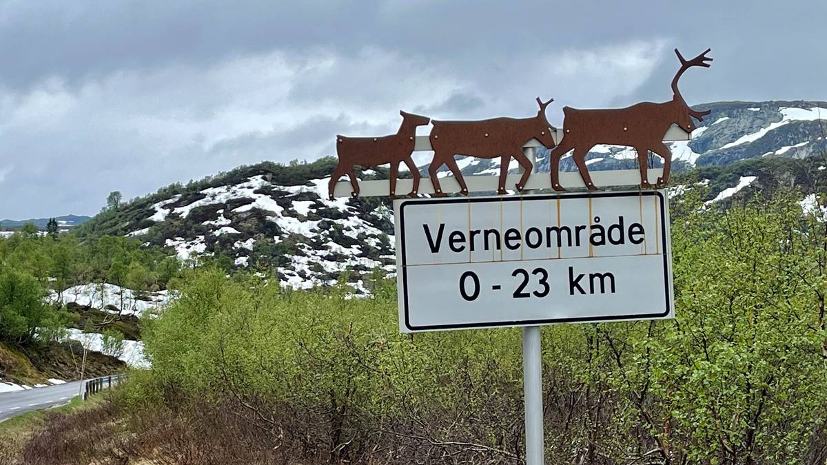 Stenger veien for vinteren