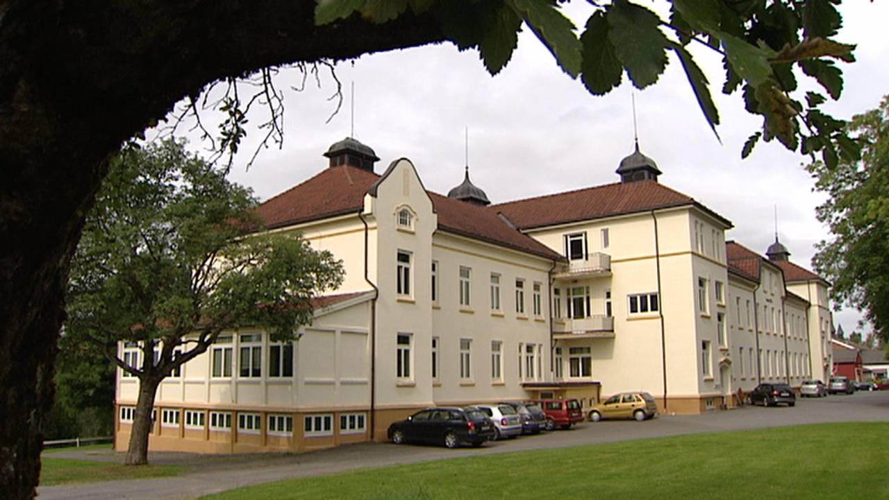 Reinsvoll
