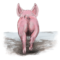 Tegning av en grisunge som løper av gårde.