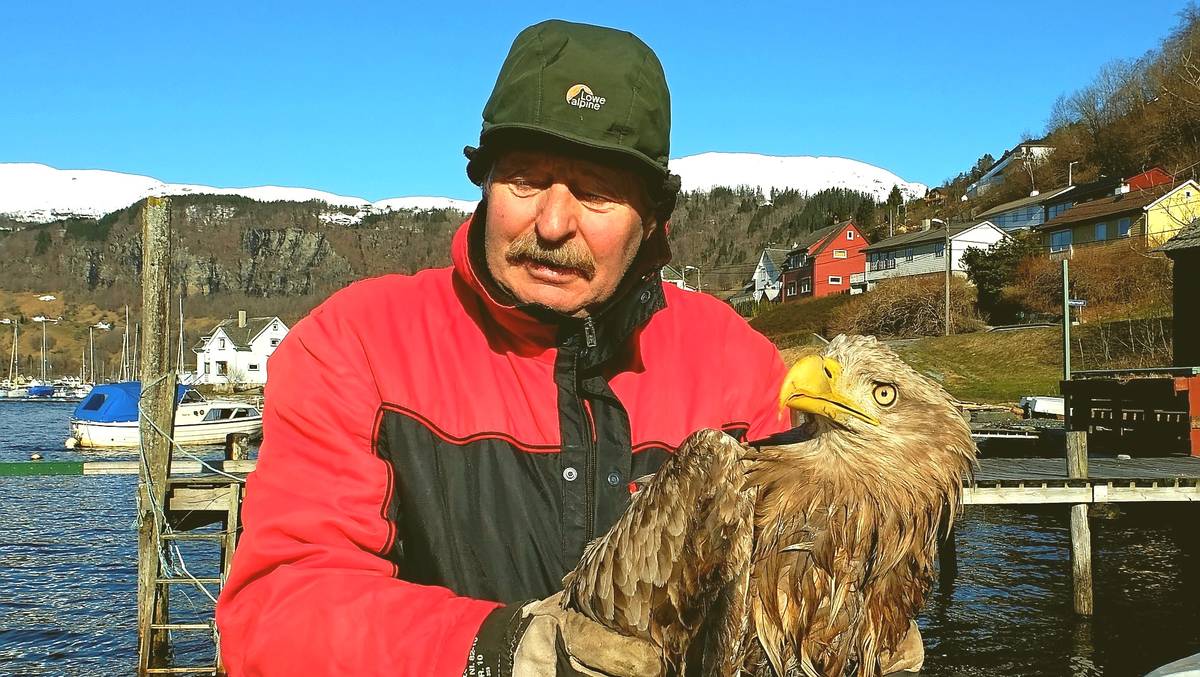 Tok saka i eigne hender og redda ørnen – NRK Vestland