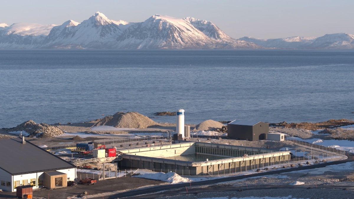 Fiskedødeligheten har sunket betraktelig i nord