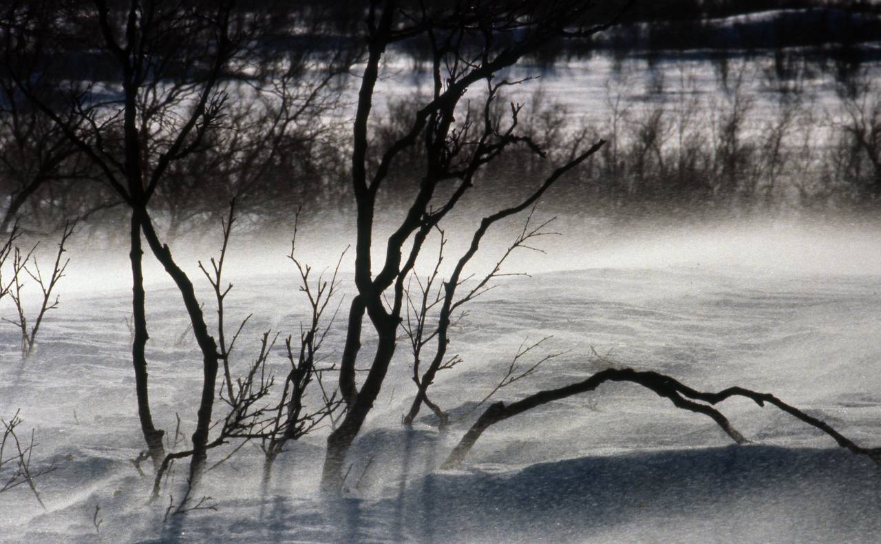 Vår mot vinter.