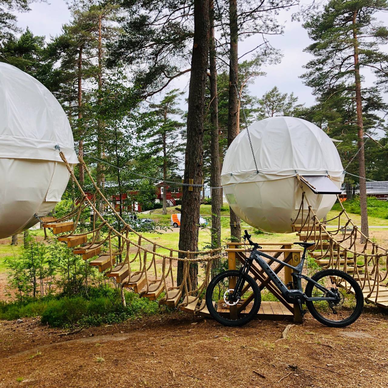På glampingferie i Hove, Arendal så kan du sove i kuletelt oppe i trærne.