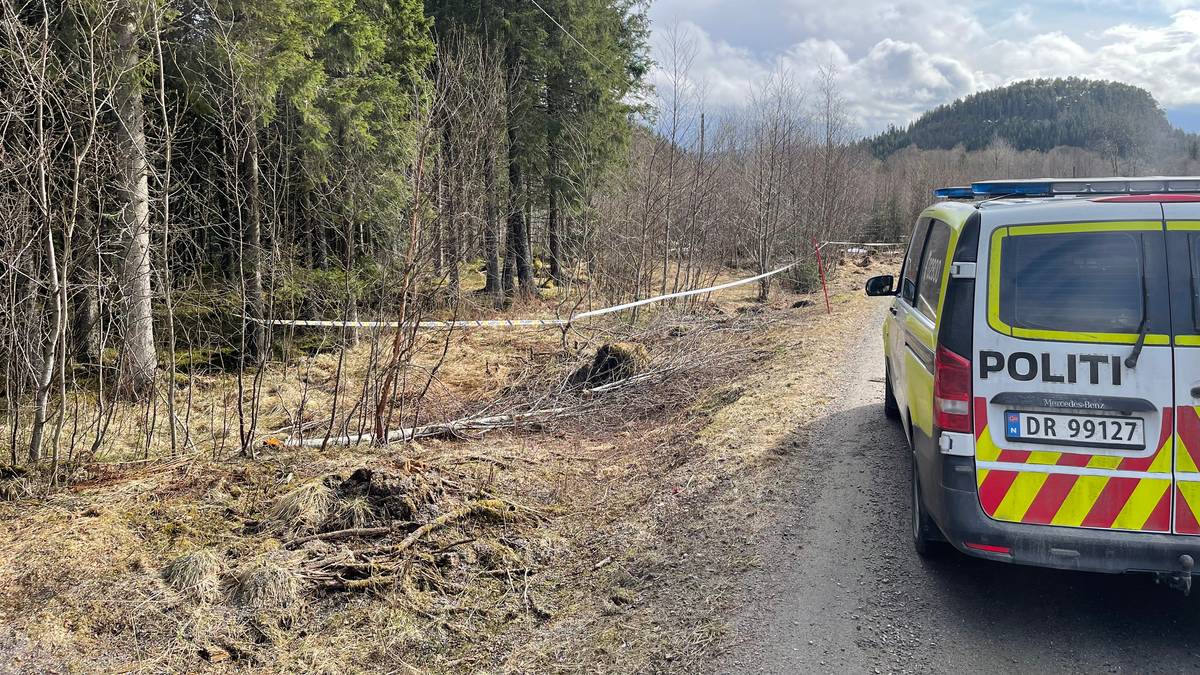 Politiet Sender Bombegruppe Til Skogområde Etter Mistenkelig Funn – NRK ...