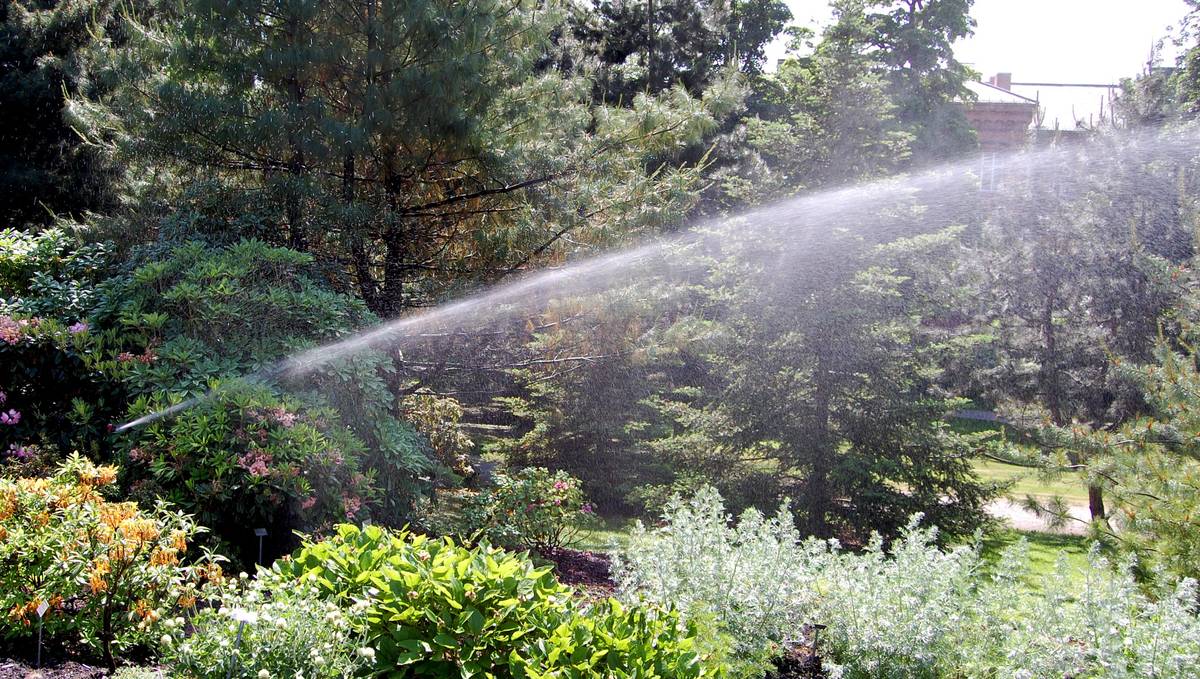Innfører hagevanningsrestriksjoner
