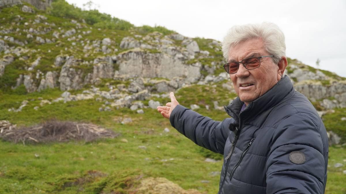 Her rydder sauene skog og kratt