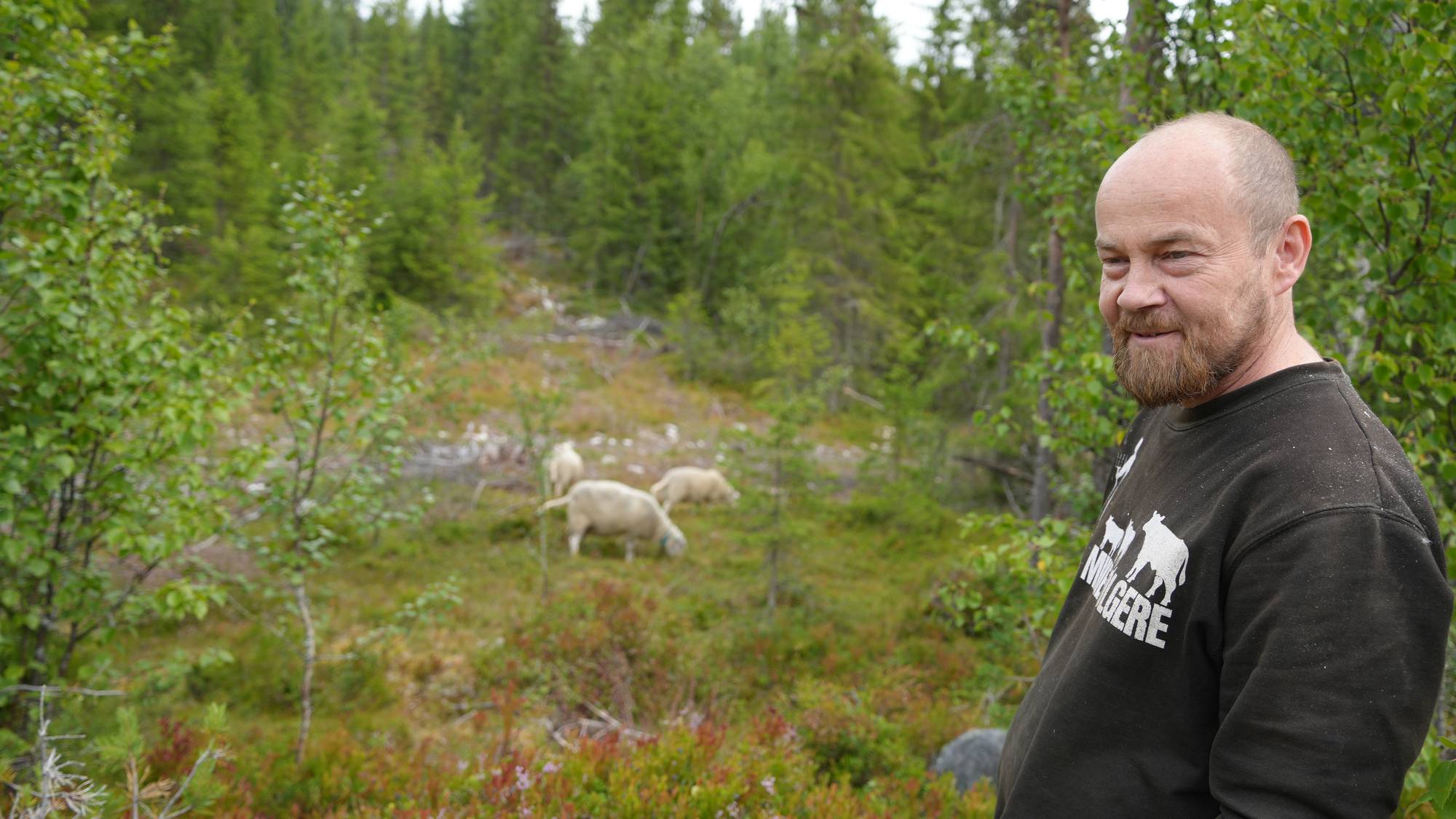 Rolf Ivar Jordbruen