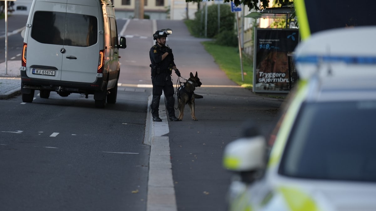 Slått med slegge Oslo-politiet rykket søndag ettermiddag ut til Torshov etter melding om slagsmål ute på offentlig sted hvor det skulle ha blitt brukt øks eller slegge.
– Det er en person som skal ha blitt angrepet av flere personer i parken ved kirken. Det skal ha blitt brukt slegge mot vedkommende. Han er ikke alvorlig skadd, og vi er i samtale med ham, sier operasjonsleder Eirik Sannes.
Han sier til NRK at alt tyder på at hendelsen har forgreninger til annen kriminell aktivitet i området.
– Ut fra de opplysningene politiet har samlet der oppe, prøver vi å få kontroll på persongalleriet og oppsøke de som skal ha vært involvert, sier Sannes.
Klokken 20:27 skriver politiet i en oppdatering at de har søkt etter gjerningspersoner uten at noen er pågrepet i kveld.