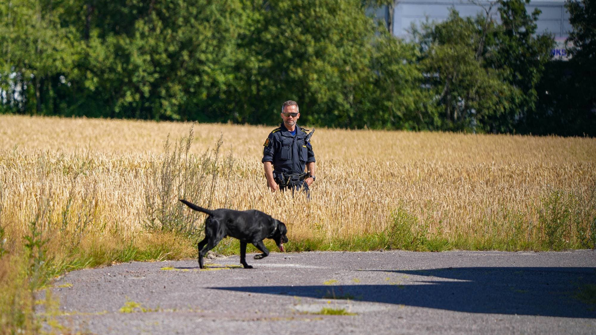 En uniformert politimann står på et jorde og følger med på en svart hund på en grusplass.