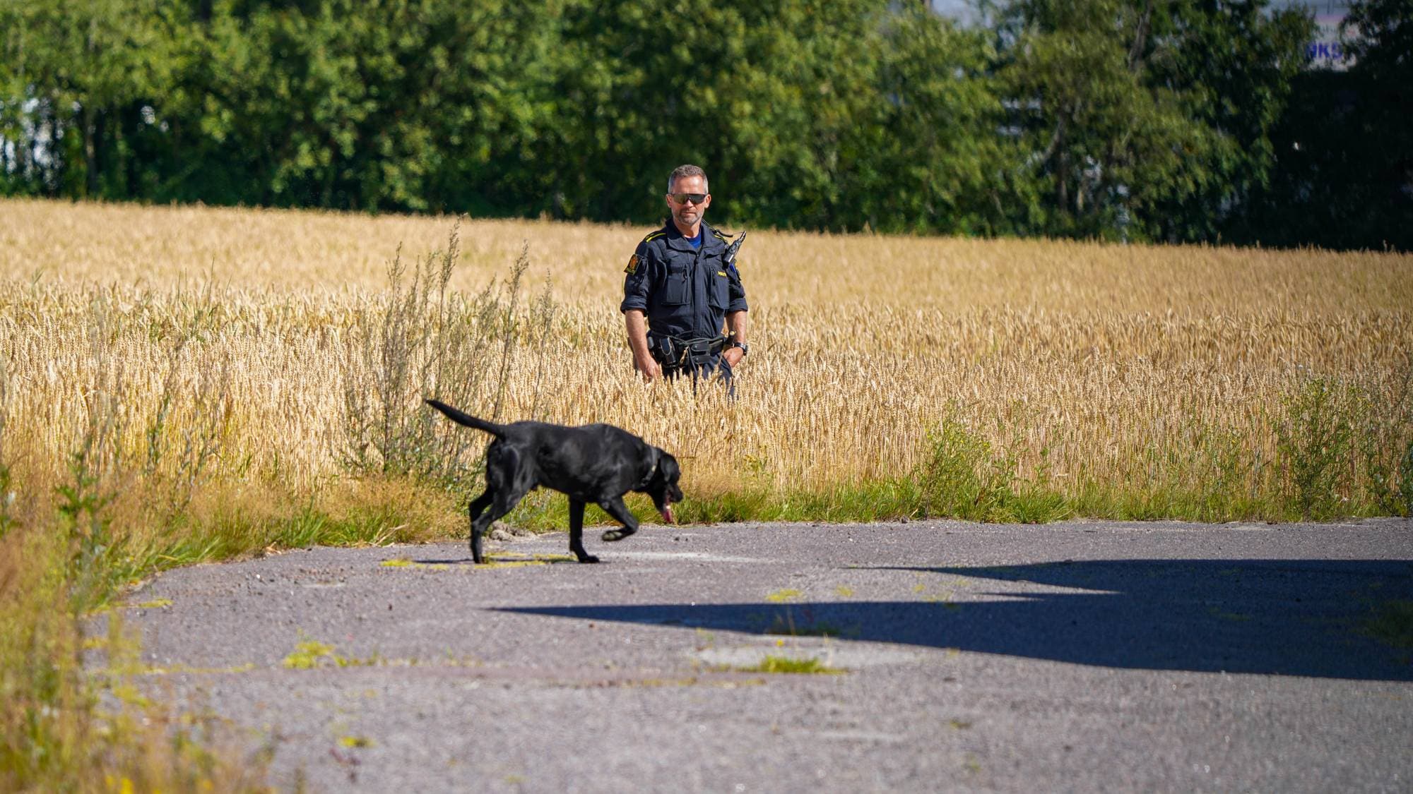 En uniformert politimann står på et jorde og følger med på en svart hund på en grusplass.