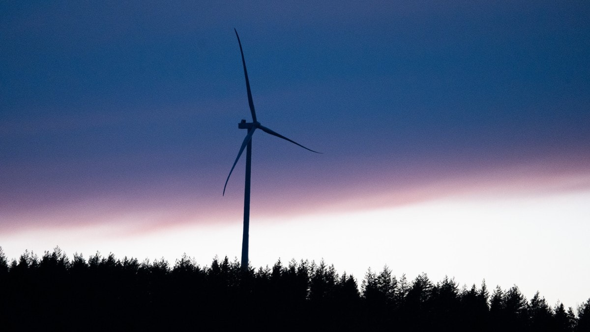 Frykter dagens vindkraftpolitikk kan skade natur og strømproduksjon