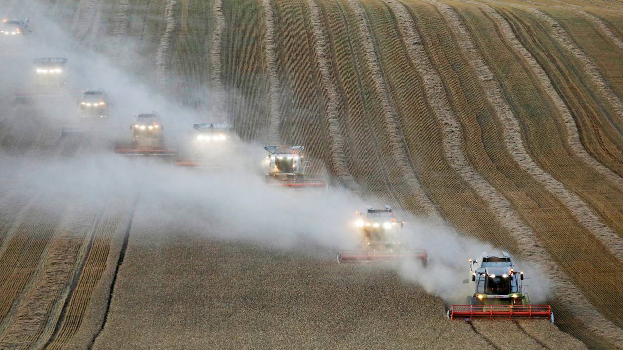 FILE PHOTO: Combines harvest wheat in a field in Stavropol Region