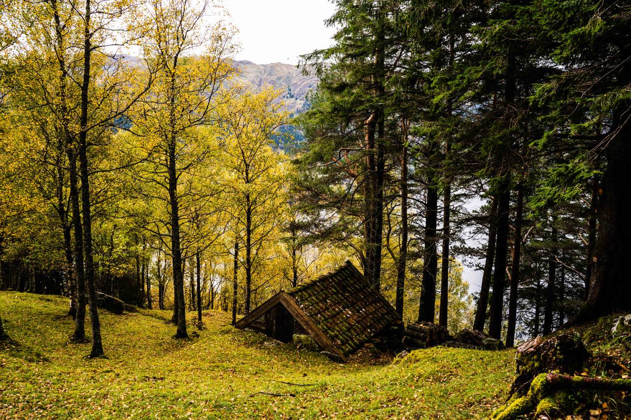 Naturbilder fra Havrå, høsten 2020