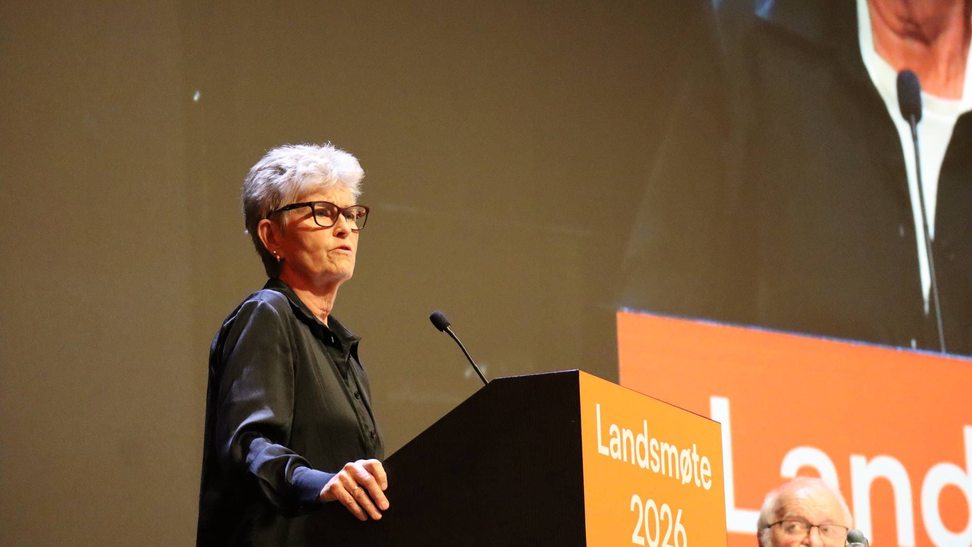 Erna Ansnes, Pensjonistforbundet