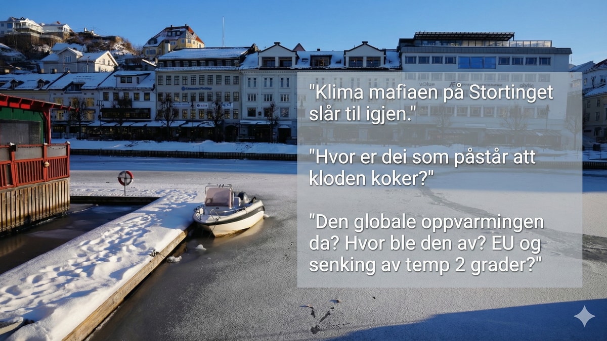 Kulda trigger kritiske ytringer om global oppvarming