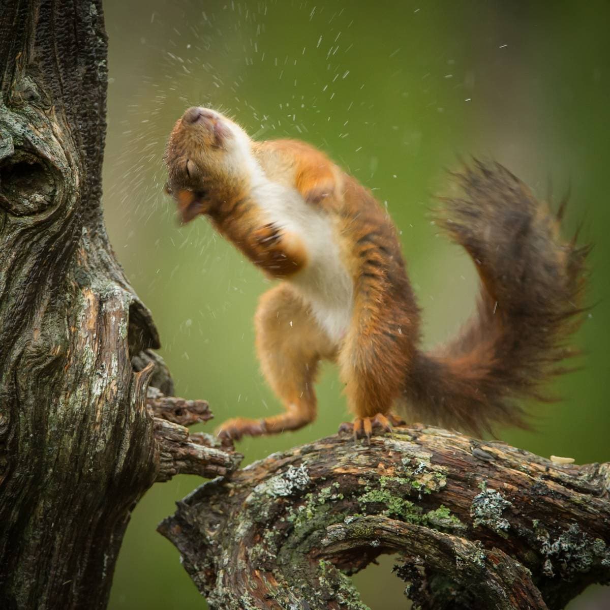 Nevarasi porno video Kiyimlar bilan rus uy qurilishi porno