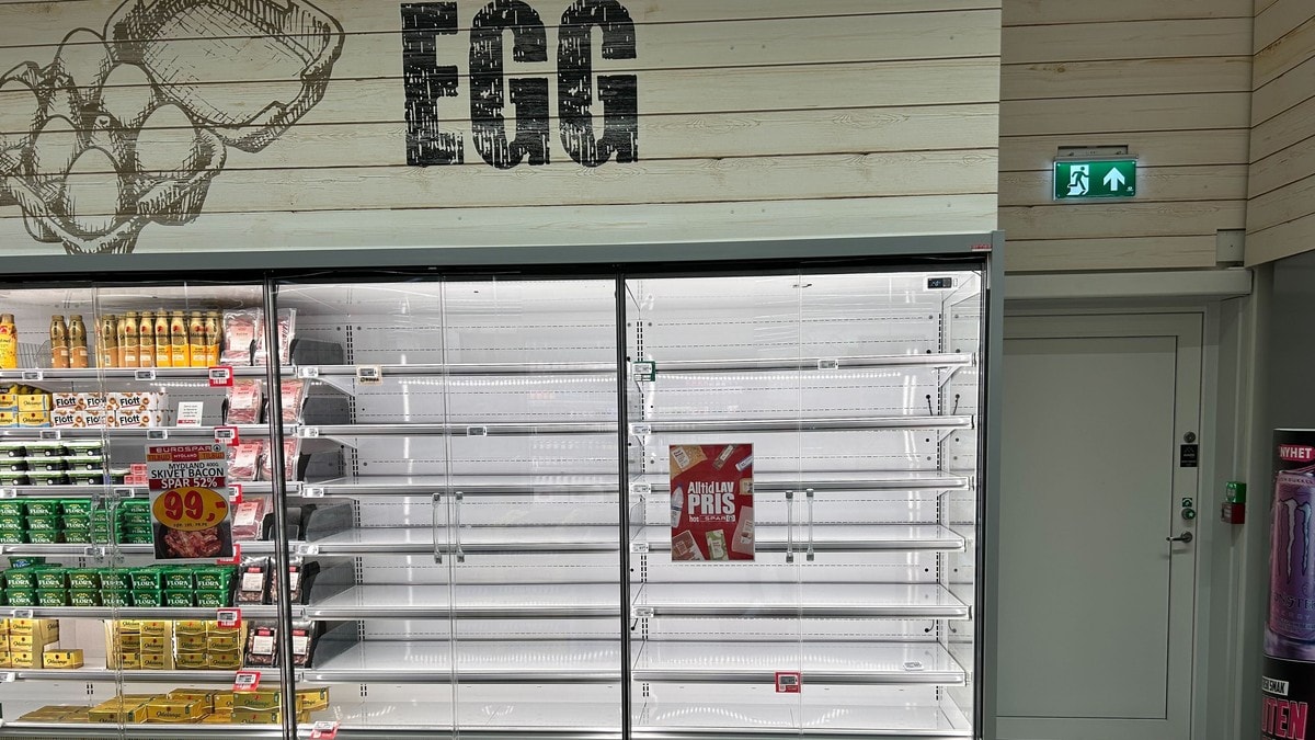 Produksjonsfeil kan gi eggmangel i butikkhyllene : – Merker at mange er bekymret