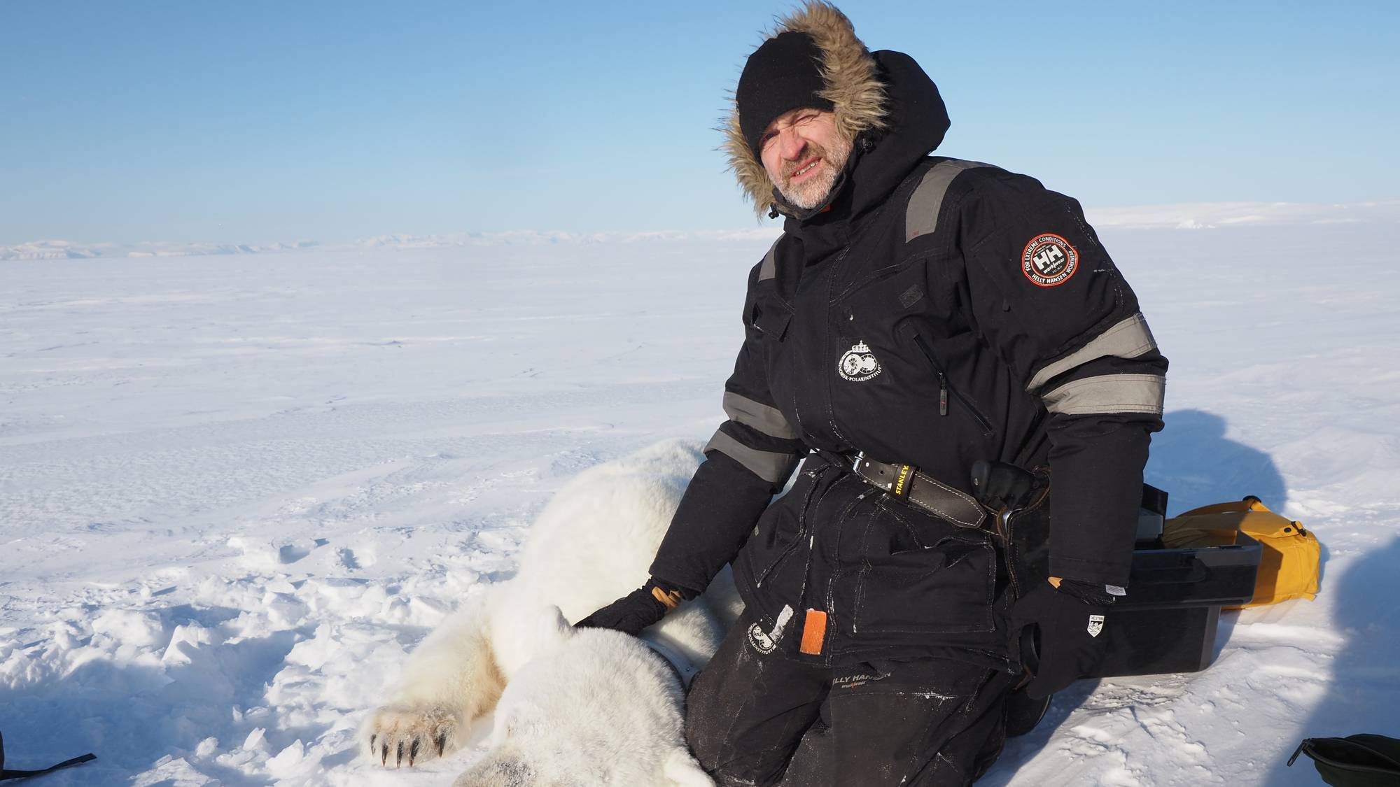En person i vinterklær kneler ved siden av en død isbjørn i snøen. Bakgrunnen viser en vidåpen polarregion med is og snø. Personen ser ut til å utføre en oppgave knyttet til dyret. Det er klart sollys, og omgivelsene er stille og øde. (Bildebeskrivelsen er laget av en KI-tjeneste)