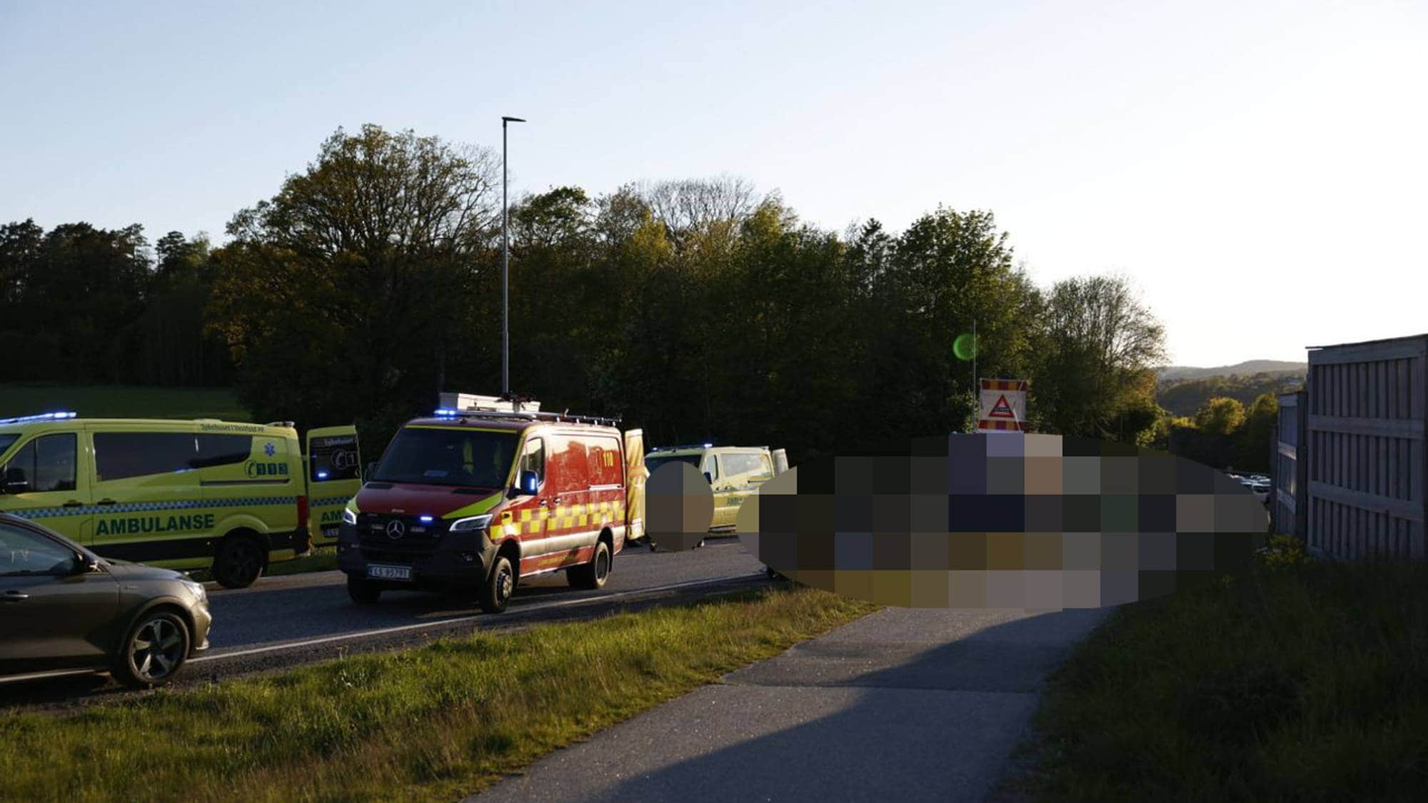 En gruppe biler parkert ved veikanten (Bildebeskrivelsen er laget av en KI-tjeneste)