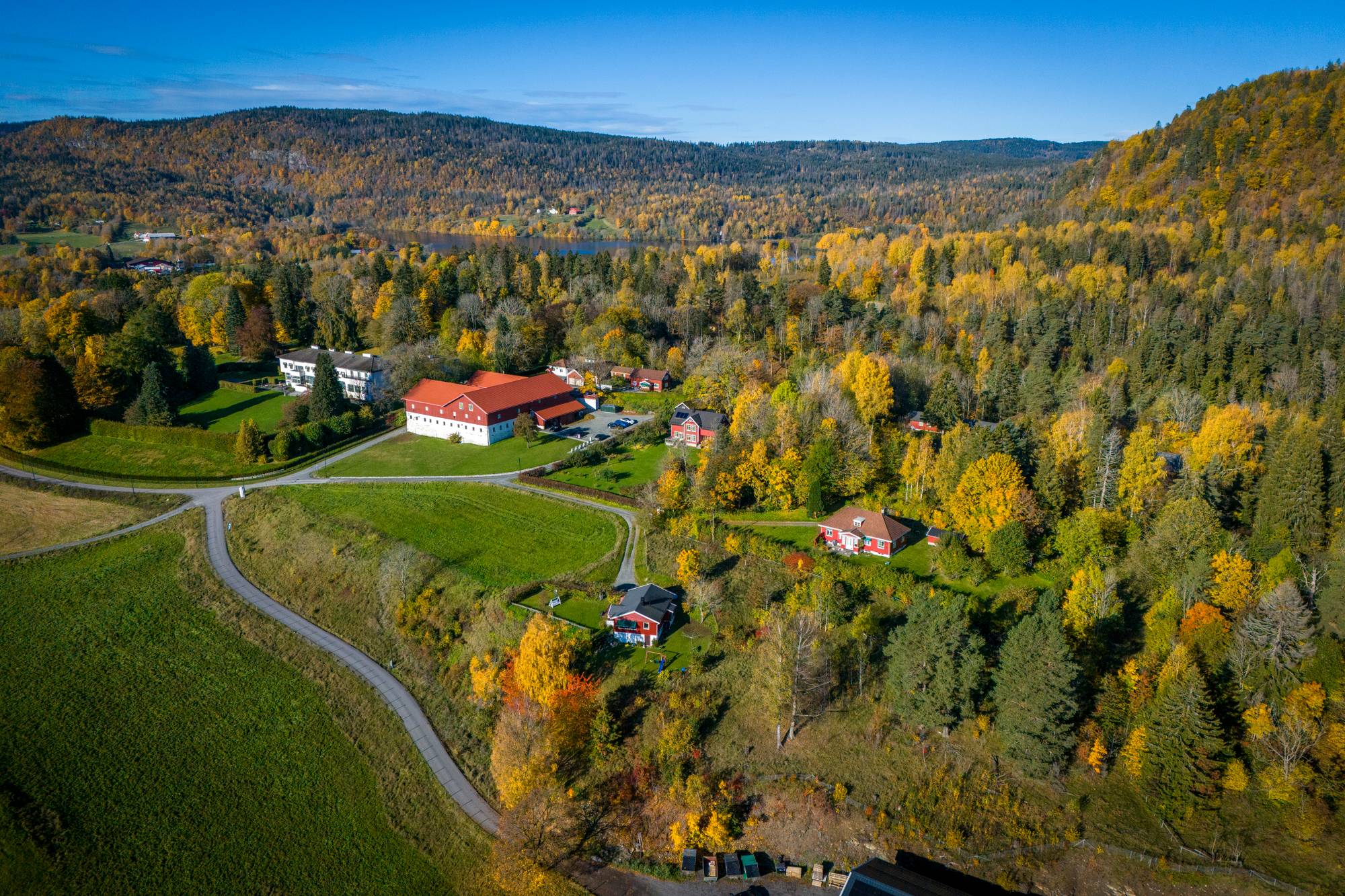 Flyfoto av et gårdstun omgitt av skog med høstfarger. (Bildebeskrivelsen er laget av en KI-tjeneste)