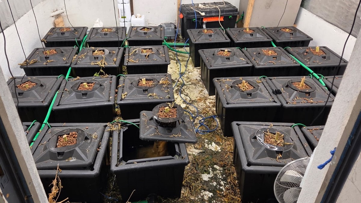 Fant cannabisplantasje i Mysen