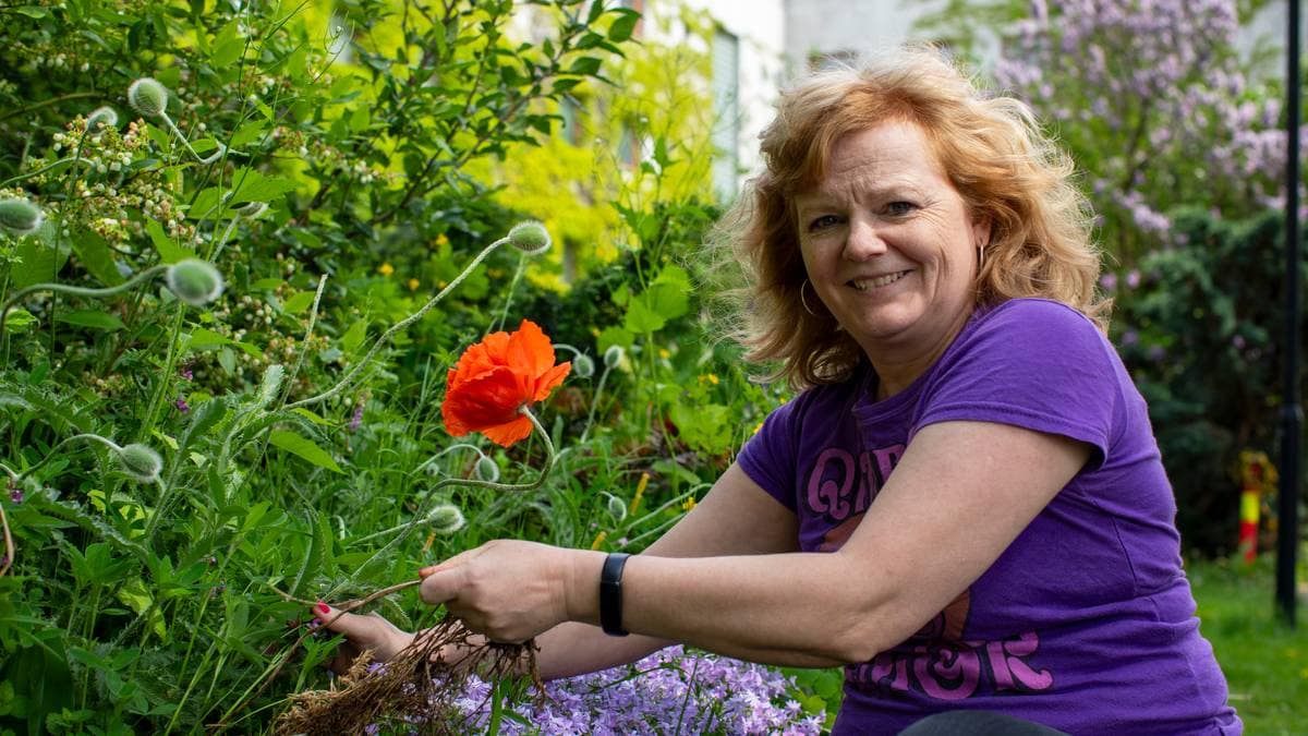 «Jeg har fått en åpenbaring... om hagelitteraturen»