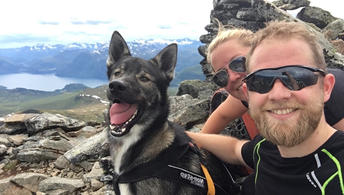 Folk blir sinte av hund på fjellet NRK Møre og Romsdal Lokale