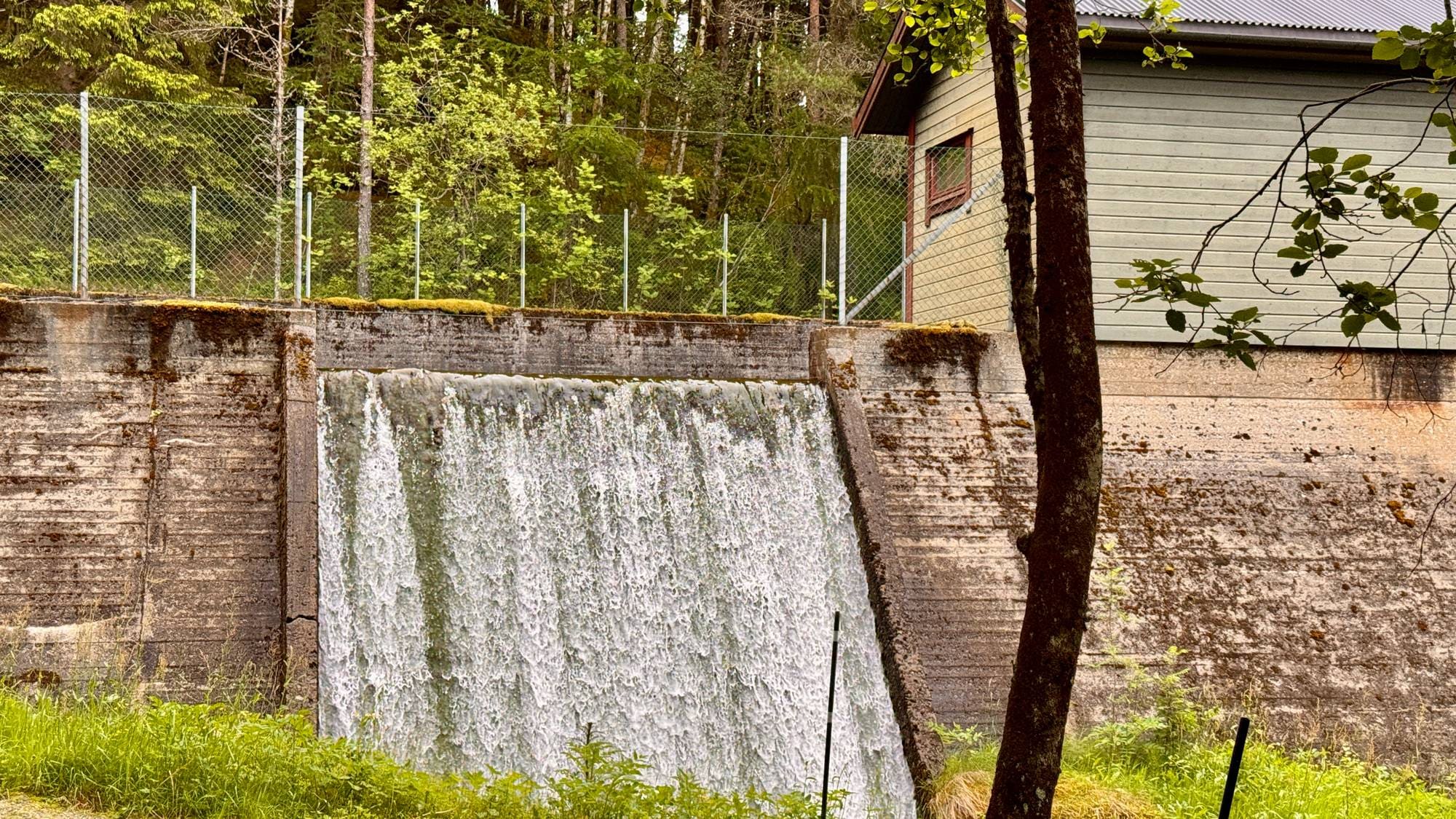 En demning med fossefall. En grønn bygning står ved siden av demningen. Det er et gjerde på toppen av demningen. Skog dekker bakgrunnen. (Bildebeskrivelsen er laget av en KI-tjeneste)