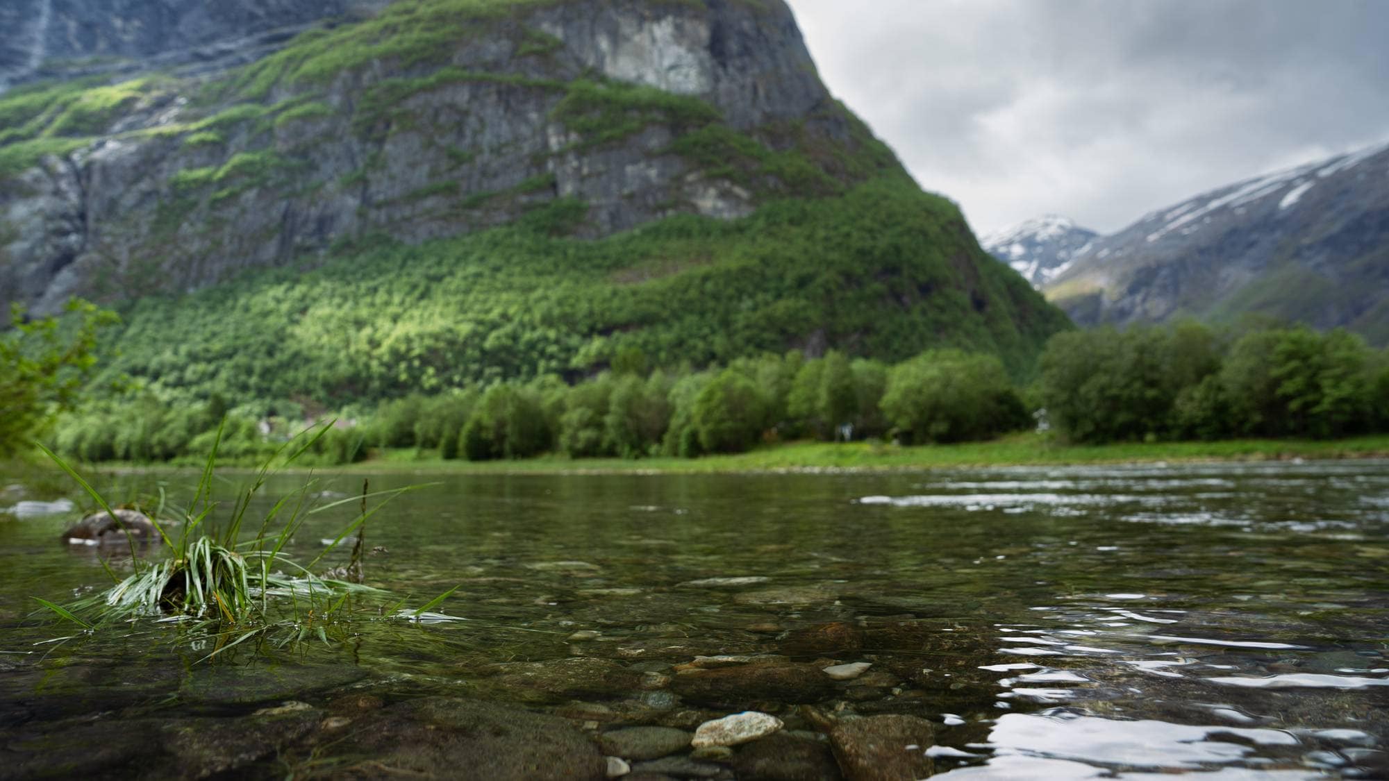 Et fjell med grønn vegetasjon strekker seg opp mot en grå himmel. Foran fjellet renner en elv med steiner i bunnen. En lys stripe av trær danner en skog langs elvebredden. I det fjerne skimtes snødekte fjelltopper. (Bildebeskrivelsen er laget av en KI-tjeneste)