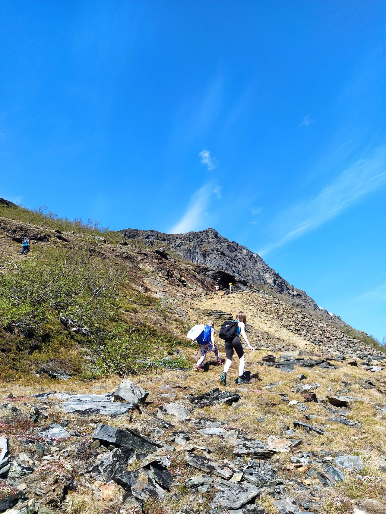 Ryggen til to unger på tur opp et fjell