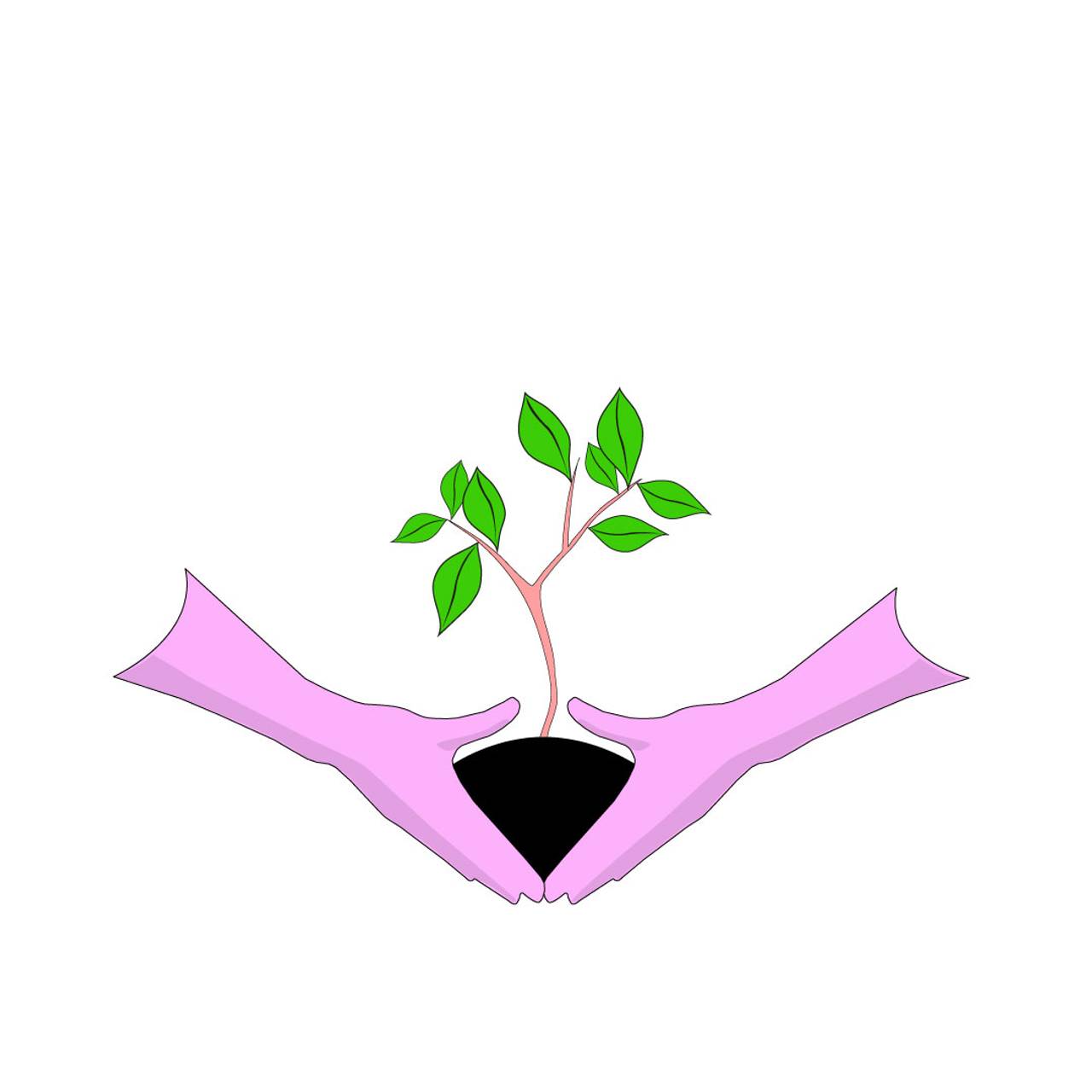 Plant et tre
