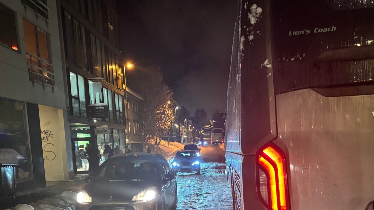 Stanset med sju turister i bilen: Kinesisk sjåfør jobbet ulovlig