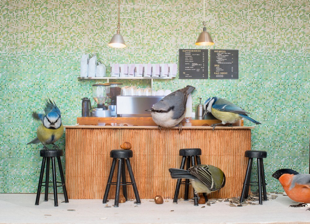 I 2014 hadde fugler og ekorn fest i kaffebaren – nå er Piip-show tilbake