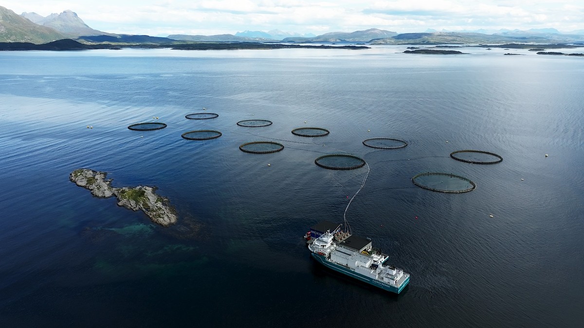 Lakseskatten ble milliardsmell for staten: – Lite gjennomtenkt