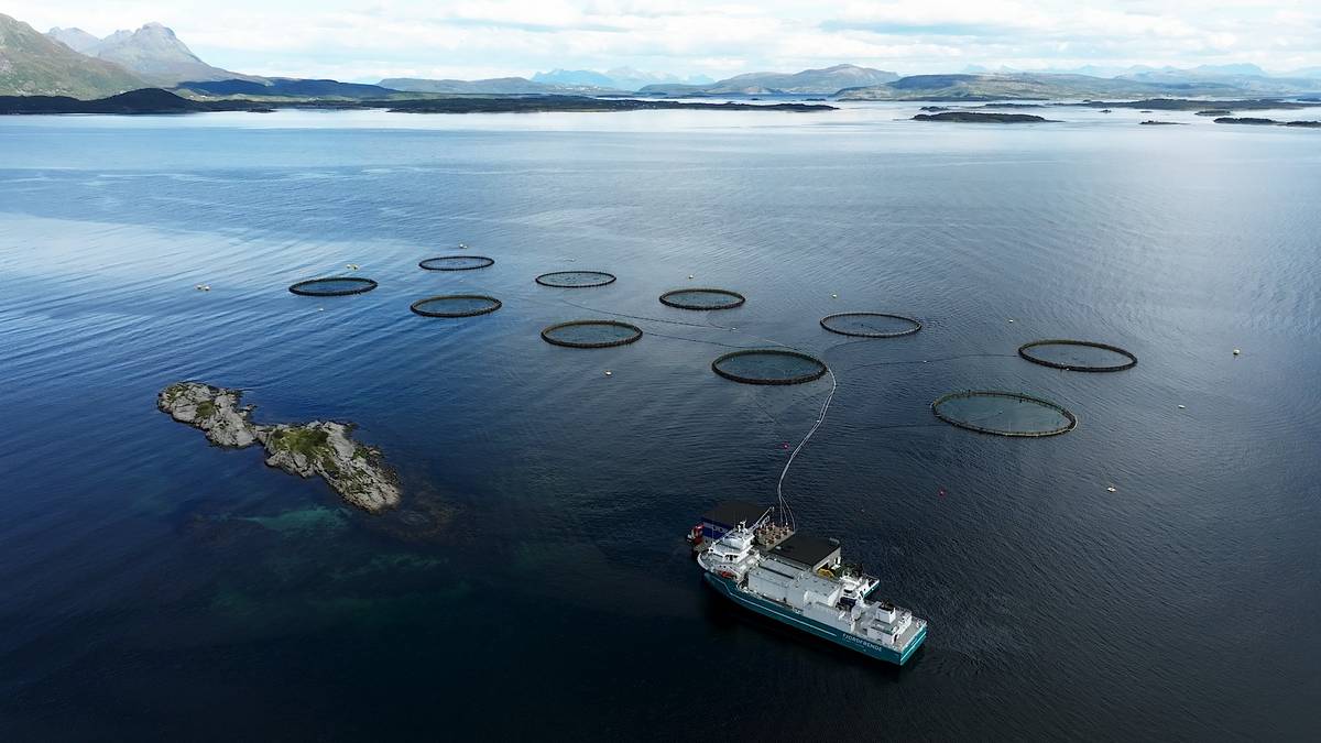 Lakseskatten ble milliardsmell for staten: – Lite gjennomtenkt